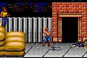 Double Dragon EX abandonware